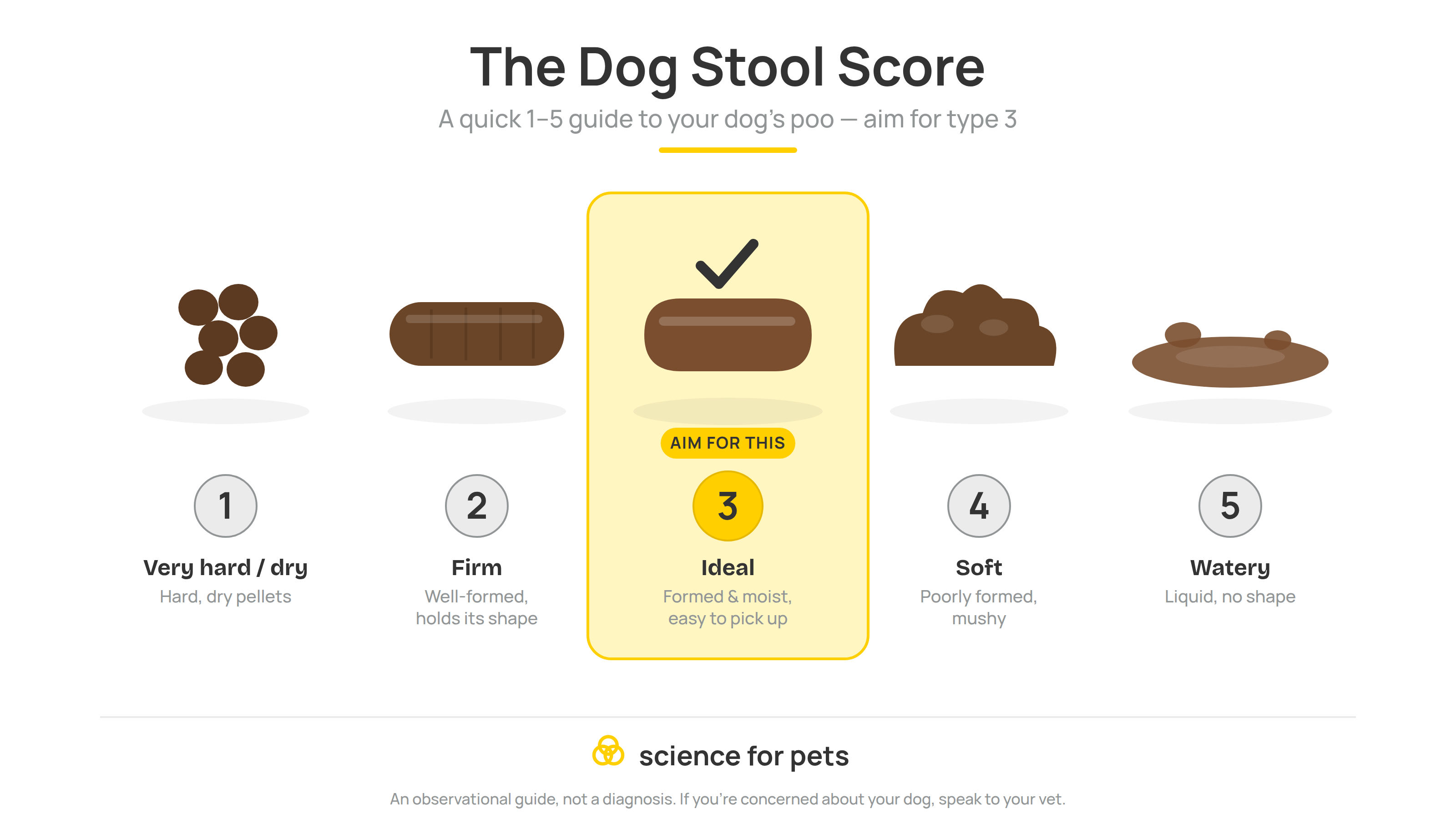 What your dog's poo is (and isn't) telling you