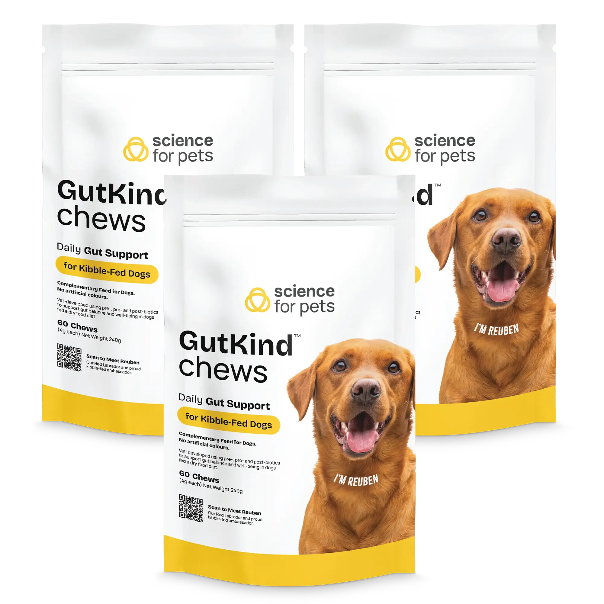 GutKind Chew for dogs fed Kibble diets